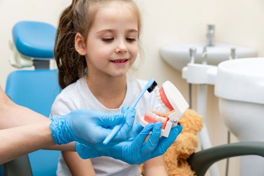 Dental hygienist cleaning teeth on a model